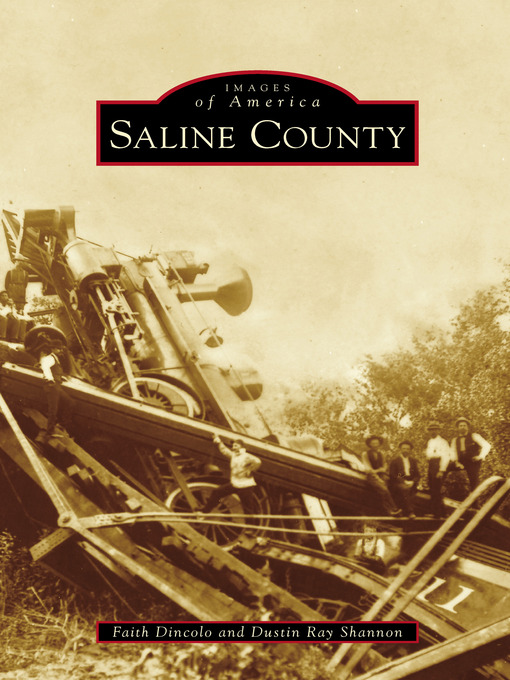 Title details for Saline County by Faith Dincolo - Available